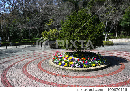 金澤自然公園的風景 金澤自然公園的風景 100870116