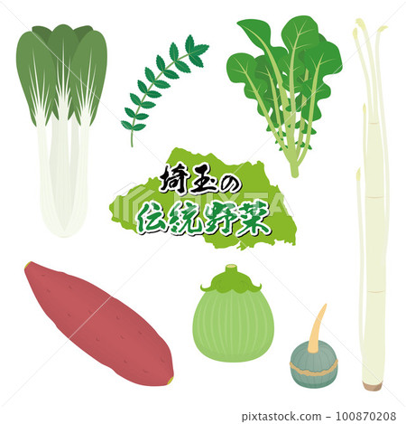 埼玉縣傳統蔬菜插畫集 100870208