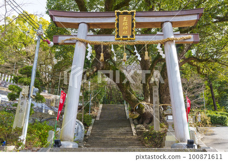 Tamaso Shrine Head Torii (Kandatsu, Yao City, Osaka Prefecture) 100871611