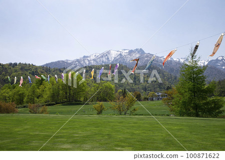 Carp streamers shining in the remaining snow 100871622