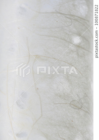 Background material of cylinder expression by hemp-filled Japanese paper 100871822