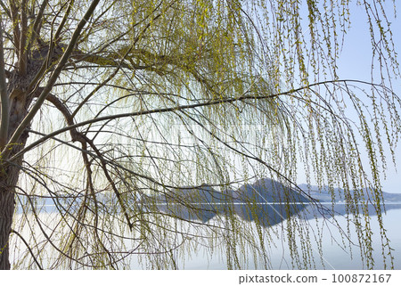 Weeping willow and Lake Toya Weeping willow and Lake Toya 100872167