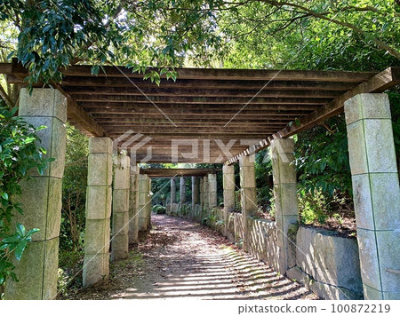 綠色的遮陽架<岡崎市中央公園（溫縣園）/愛知縣岡崎市> 100872219