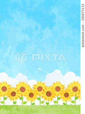 向日葵花田，清爽的藍天白雲 100873133