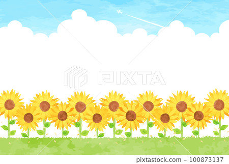 Landscape illustration of a sunflower field with thunderheads and contrails in summer 100873137