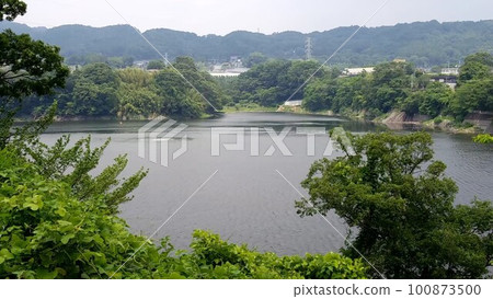 Lush nature 100873500