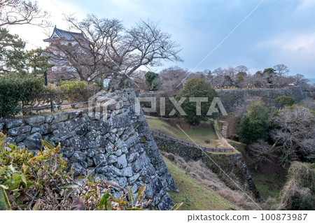 Hikone Castle Main Keep Honmaru and Nishinomaru Hikone City, Shiga Prefecture 100873987