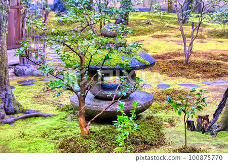 Kyoto, stone lanterns of Daitokuji Kobai-in Temple Kyoto, stone lanterns of Daitokuji Kobai-in Temple 100875770