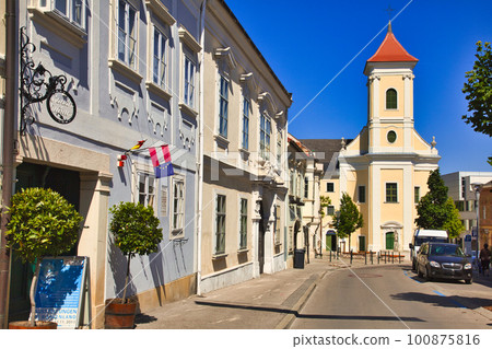 美麗的魯斯特小鎮 100875816