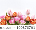 Tulip frame material 100876701