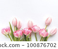 Tulip frame material 100876702