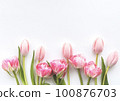 Tulip frame material 100876703
