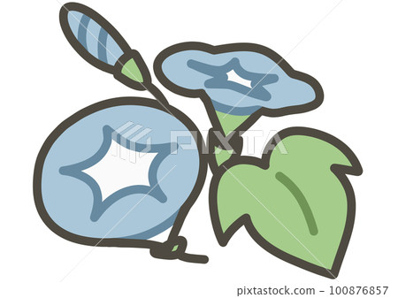 Asagao's hand-drawn illustration in color 100876857