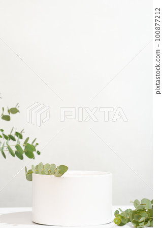 white podium for product presentation with green eucalyptus leaves, vertical. copy space. geometric pedestal display showcase. 100877212