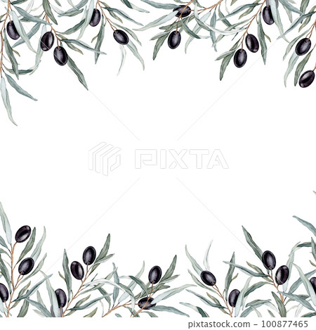 Watercolor banner with black olive leaves branches.Watercolor olive in bouquet. Decorative element for greeting card. Illustration Watercolor banner with black olive leaves branches.Watercolor olive in bouquet. Decorative element for greeting card. Illustration 100877465