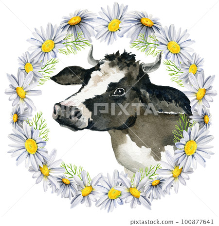 round wreath with white and black cow and daisies, wildflowers, watercolor hand drawn illustration, round frame, spase for text 100877641