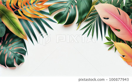 Tropical frame with monstera and palm leaves Tropical frame with monstera and palm leaves 100877943