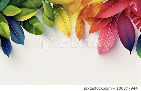 Tropical frame with monstera and palm leaves Tropical frame with monstera and palm leaves 100877944