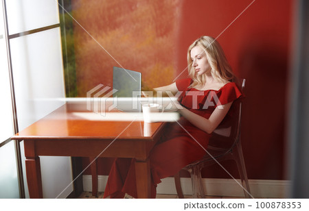 Young adult woman sitting at the table and working on laptop 100878353