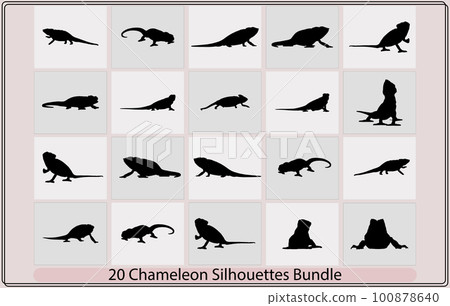 silhouette of a chameleon,Chameleon graphic icon,Chameleon lizard reptile black silhouette,Vector illustration of a chameleon silhouette, silhouette of a chameleon,Chameleon graphic icon,Chameleon lizard reptile black silhouette,Vector illustration of a chameleon silhouette, 100878640