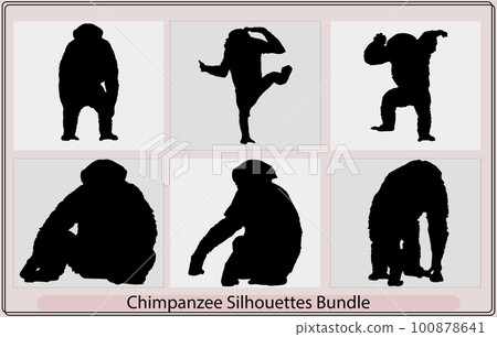 chimpanzee silhouettes,Chimpanzee icon silhouette,Chimpanzee monkey,Monkey silhouette chimpanzee silhouettes,Chimpanzee icon silhouette,Chimpanzee monkey,Monkey silhouette 100878641