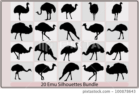 Emu silhouette,Emu vector silhouette, Emu bird,silhouette of emu,Emu bird vector silhouette Emu silhouette,Emu vector silhouette, Emu bird,silhouette of emu,Emu bird vector silhouette 100878643
