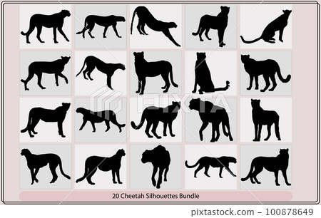 Vector silhouette of cheetah,Cheetah run cycle spritesheet Silhouette,Vector diffirent silhouettes of a cheetah poses, 100878649