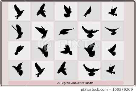 pigeons silhouette,pigeon silhouette vector,silhouettes of flying birds pigeon, pigeons silhouette,pigeon silhouette vector,silhouettes of flying birds pigeon, 100879269