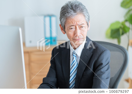 Senior businessman working with a computer Senior businessman working with a computer 100879297