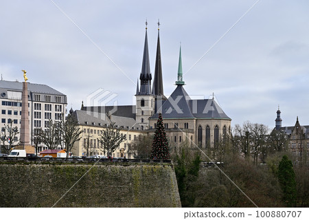 憲法廣場上的聖誕樹和巴黎圣母院 憲法廣場上的聖誕樹和巴黎圣母院 100880707