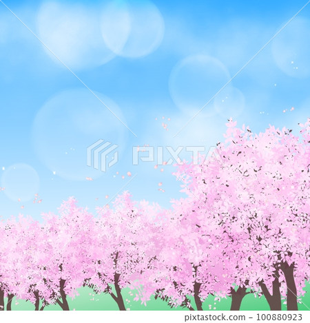 Spring blue sky with cherry blossoms 100880923