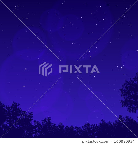 夢幻夜空星空背景 100880934