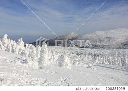 Juhyo/Large rime forest that spreads over the entire mountain 100881039