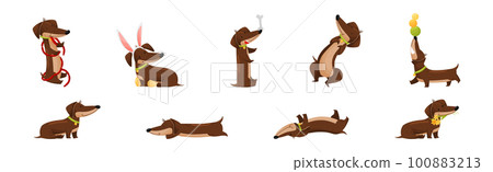 Cute Dachshund Character with Long Body and Collar Vector Set 100883213