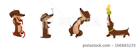 Cute Dachshund Character with Long Body and Collar Vector Set Cute Dachshund Character with Long Body and Collar Vector Set 100883235