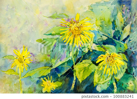 Abstract watercolor original painting  colorful of sun flowers 100883241