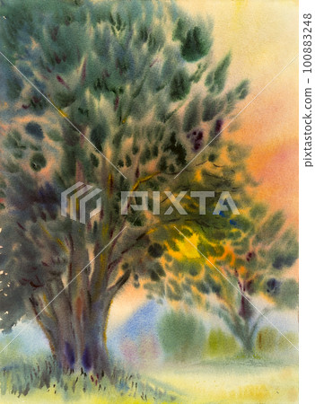 Watercolor painting original landscape colorful of A large tree Watercolor painting original landscape colorful of A large tree 100883248