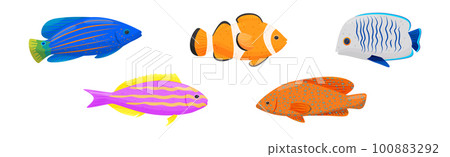 Exotic Tropical Fish of Different Shapes and Colors Vector Set Exotic Tropical Fish of Different Shapes and Colors Vector Set 100883292