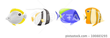 Exotic Tropical Fish of Different Shapes and Colors Vector Set Exotic Tropical Fish of Different Shapes and Colors Vector Set 100883293