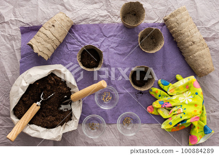 Planting seedlings of tomato Planting seedlings of tomato 100884289