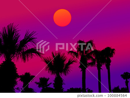 palm trees at sunset 100884564