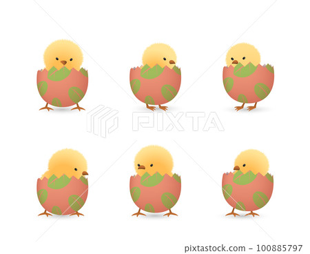 Chicks in broken leaf easter eggs bottom set 100885797