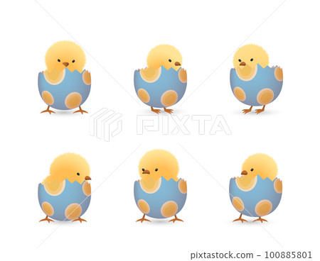 Chicks in broken oval easter eggs bottom set Chicks in broken oval easter eggs bottom set 100885801