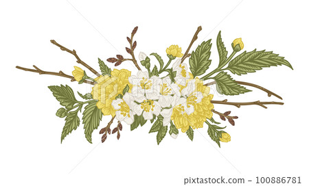 Spring bouquet with blossoming branches. Vintage style. Kerria Japanese, cherry, hawthorn. Can be used for design of invitations, cards, labels, stickers. Sketch. Yellow and green. Spring bouquet with blossoming branches. Vintage style. Kerria Japanese, cherry, hawthorn. Can be used for design of invitations, cards, labels, stickers. Sketch. Yellow and green. 100886781