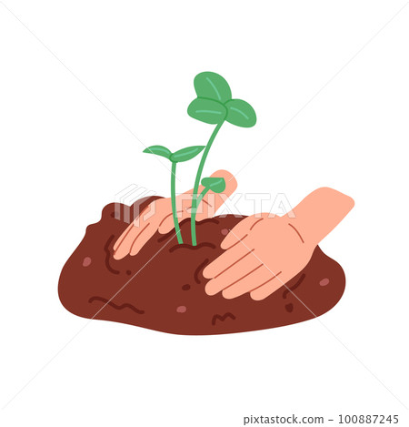 Planting a small tree in the ground with human hands on a white background. Hand drawn illustration of planting. 100887245