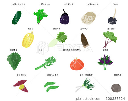 各種加賀蔬菜 各種加賀蔬菜 100887324
