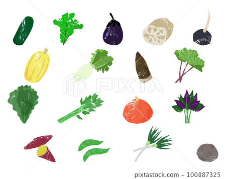 各種加賀蔬菜加賀蔬菜 各種加賀蔬菜加賀蔬菜 100887325