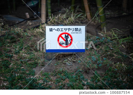Scenery where a sign prohibiting feeding cats is installed on the premises of the building Scenery where a sign prohibiting feeding cats is installed on the premises of the building 100887554