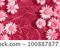 Trendy color of the year 2023. Bright creative background. Natural flowers and wave water on shining background toned in viva magenta color. Flat lay Top view 100887877