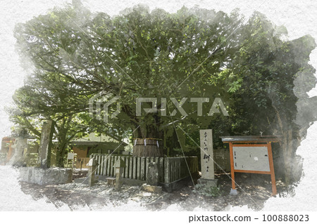Watercolor-style Shingu, Kumano Hayatama Taisha Shrine, sacred tree Nagi, Shingu City, Wakayama Prefecture 100888023